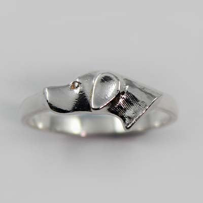 Pointer Ring